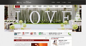 北京網(wǎng)站建設與推廣 案例展示與整合營銷實踐